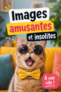 Une sélection d'images amusantes et créatives adaptées aux familles avec enfants.