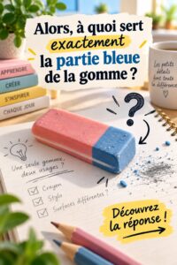Gomme bleue illustrant ses usages pratiques dans un cadre scolaire.
